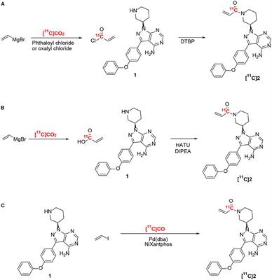 Radiosynthesis of [11C]Ibrutinib via Pd-Mediated [11C]CO Carbonylation: Preliminary PET Imaging in Experimental Autoimmune Encephalomyelitis Mice